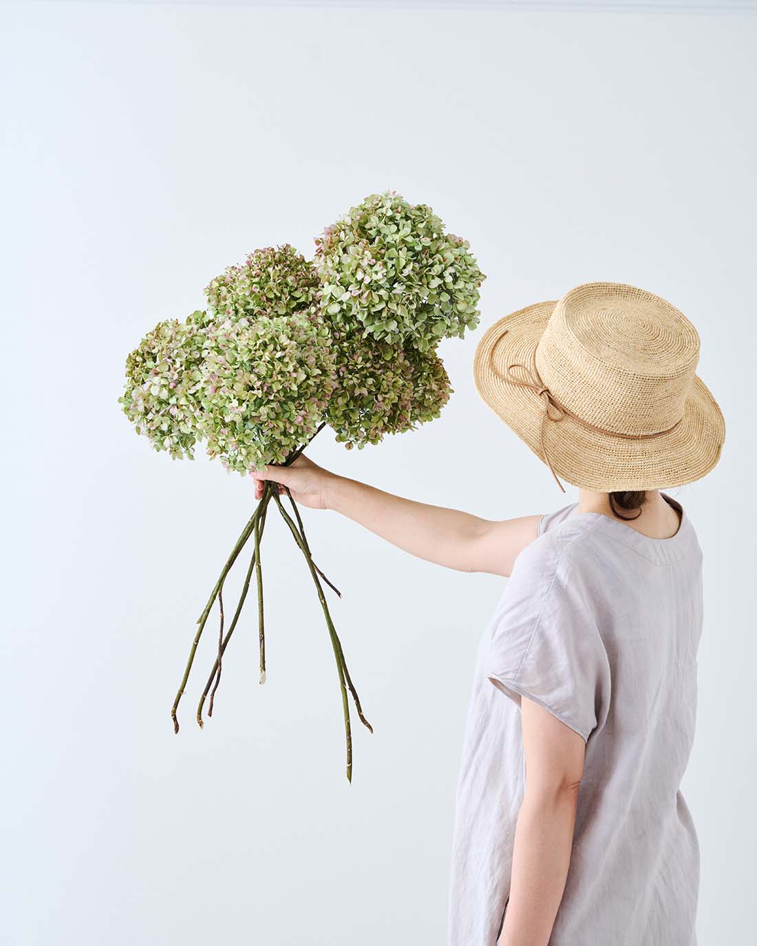 ［ドライフラワー］紫陽花 パレットクラシック