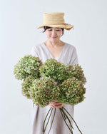 ［ドライフラワー］紫陽花 パレットクラシック