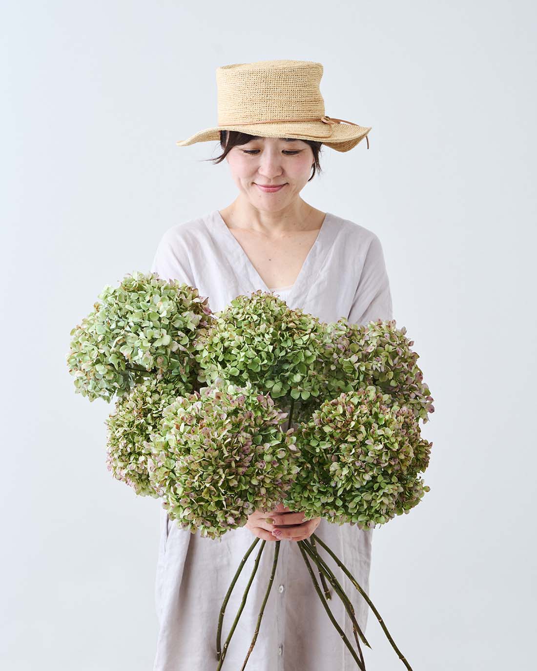 ［ドライフラワー］紫陽花 パレットクラシック