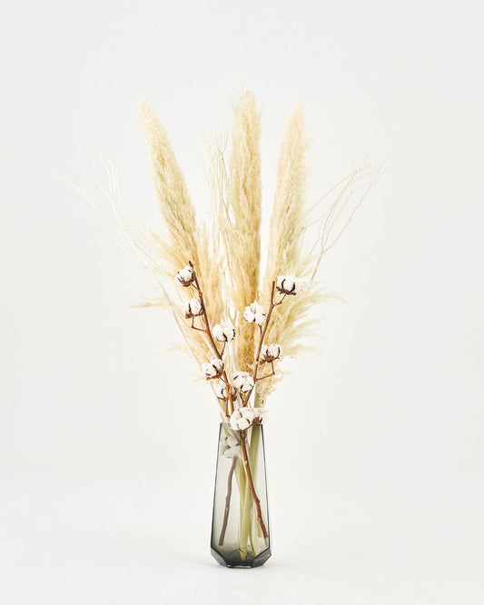 【BIGサイズ】飾るだけでサマになるドライフラワーセット(パンパスグラス・ミツマタ・コットンフラワー）