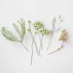 送料無料｜ドライフラワーおためしセット