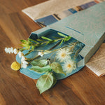 送料無料｜ドライフラワーおためしセット