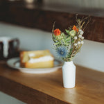 季節のドライフラワー定期便＜はなうたプラン＞