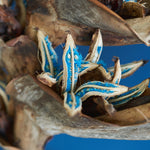 ［BIGボタニカル｜ドライ］タビビトノキ　