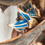 ［BIGボタニカル｜ドライ］タビビトノキ　