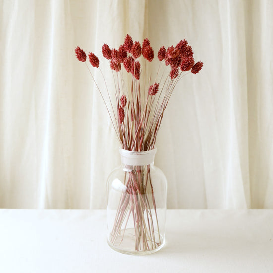 ［ドライフラワー］カナリーグラス　クラシックローズ