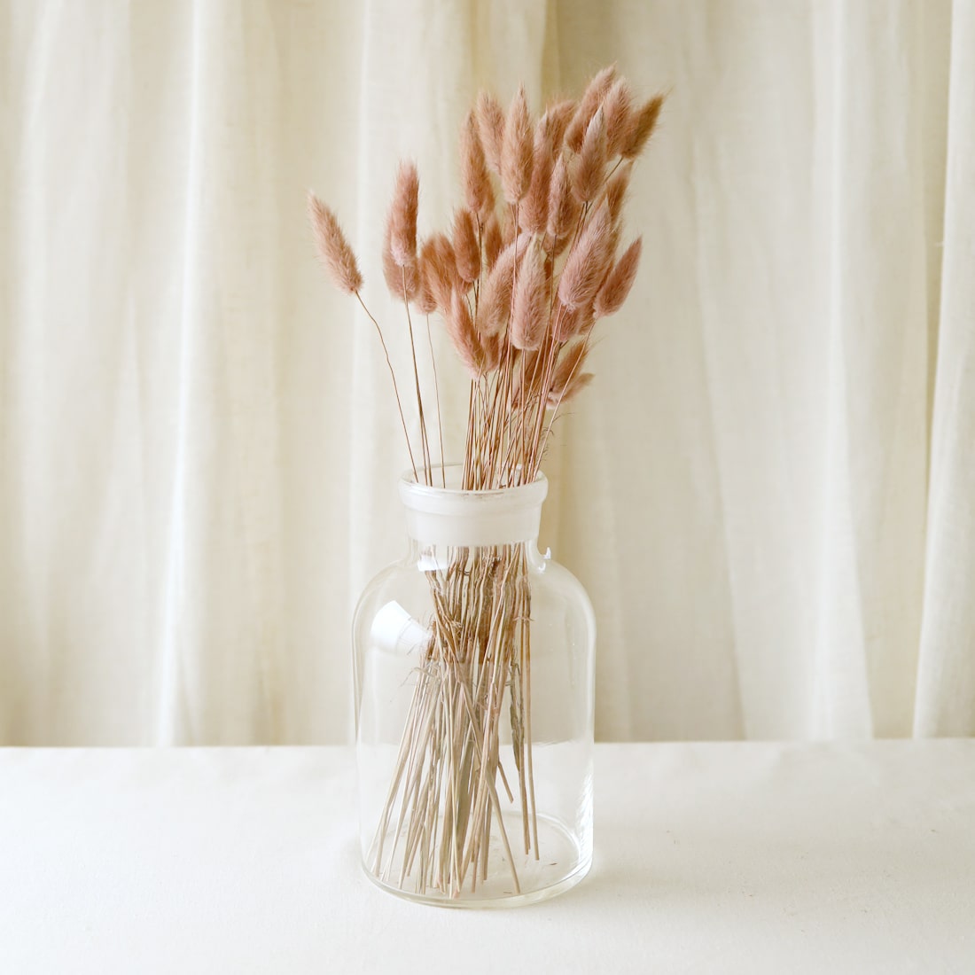 ドライフラワー］バニーテール ナチュラルピンク商品ページ - 土と風の