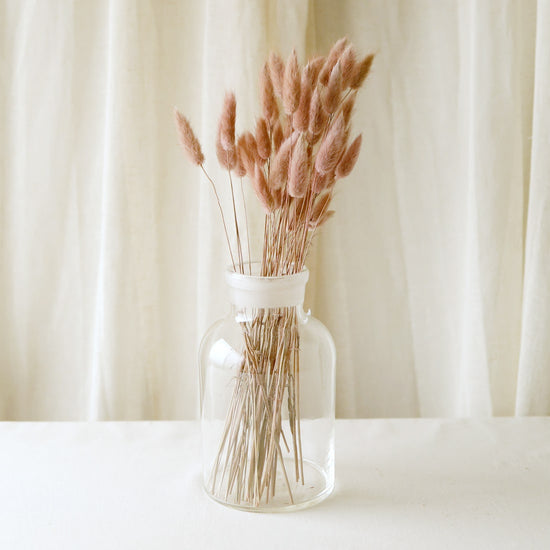 ［ドライフラワー］バニーテール ナチュラルピンク