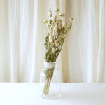 ［ドライフラワー］千日紅　ホワイト