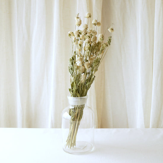 ［ドライフラワー］千日紅　ホワイト