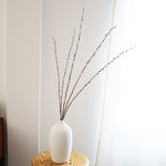 ［BIGボタニカル｜ドライ］ネコヤナギ 90cm