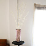 ［BIGボタニカル｜ドライ］ミツマタ（ホワイト）