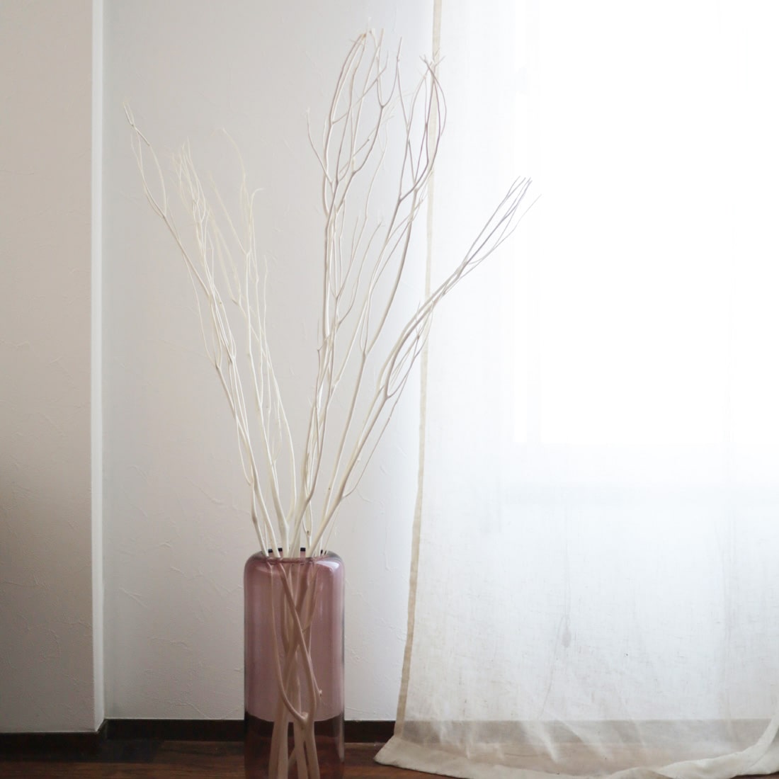 BIGボタニカル］ミツマタ 90-100cm 商品ページ - 土と風の植物園