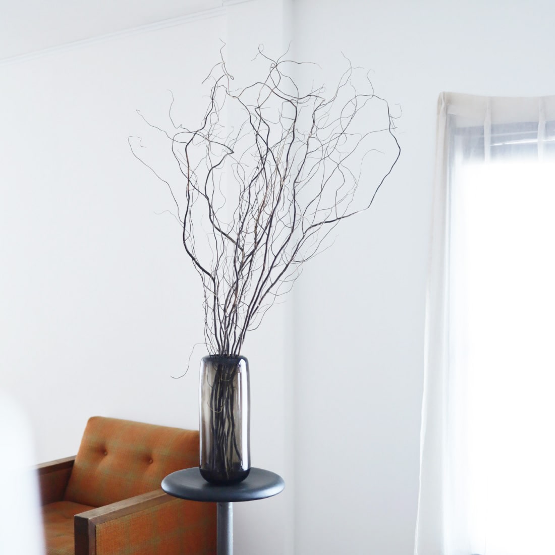 ［BIGボタニカル｜ドライ］雲竜柳 120cm