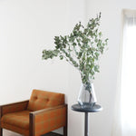 ［BIGボタニカル｜ドライ］ユーカリ おまかせ  90-100cm