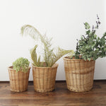 ［BIGボタニカル｜ドライ］アナベル