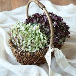 【7月15～順次発送｜予約販売商品】［インテリア・雑貨／アパレル］Black Willow basket オーバルバスケット