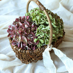 【7月15～順次発送｜予約販売商品】［インテリア・雑貨／アパレル］Black Willow basket オーバルバスケット
