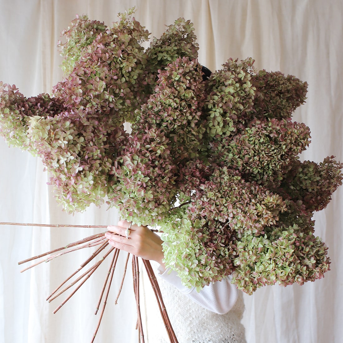 ドライフラワー 水無月紫陽花 秋色紫陽花 ミナヅキ ハーフムーン リース