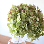 ＜シー・ユー・トゥモロー＞紫陽花・ウーリーブッシュ・ユーカリのスワッグ