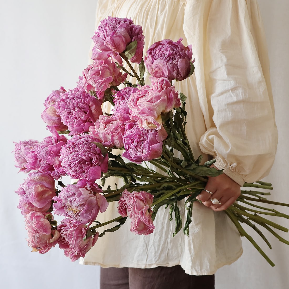 ［ドライフラワー］芍薬