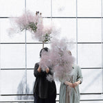 ［BIGボタニカル｜ドライ］スモークツリー 60-100㎝