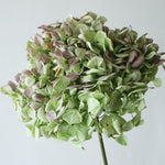 ＜シー・ユー・トゥモロー＞紫陽花・ウーリーブッシュ・ユーカリのスワッグ