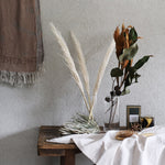 ［ドライフラワー］ユーカリ トランペット