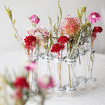 季節のドライフラワー定期便＜ごきげんプラン＞２ヶ月に１度のお届け