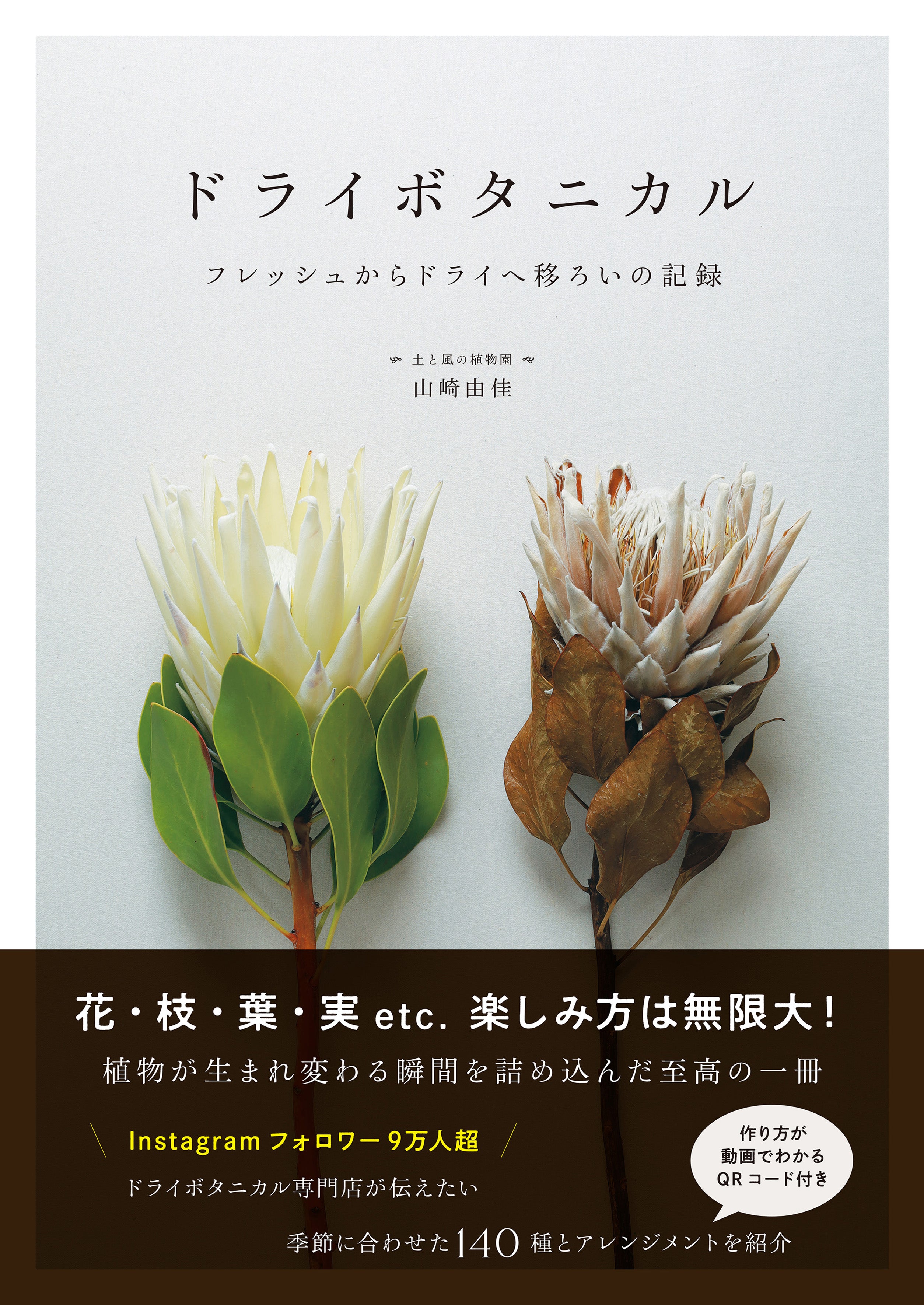 書籍］ドライボタニカル フレッシュからドライへ移ろいの記録 ／（著