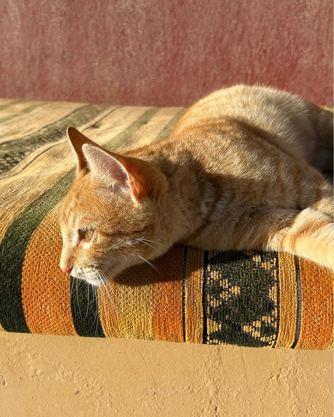 旅するスワッグ Morocco＜マラケシュの赤＞