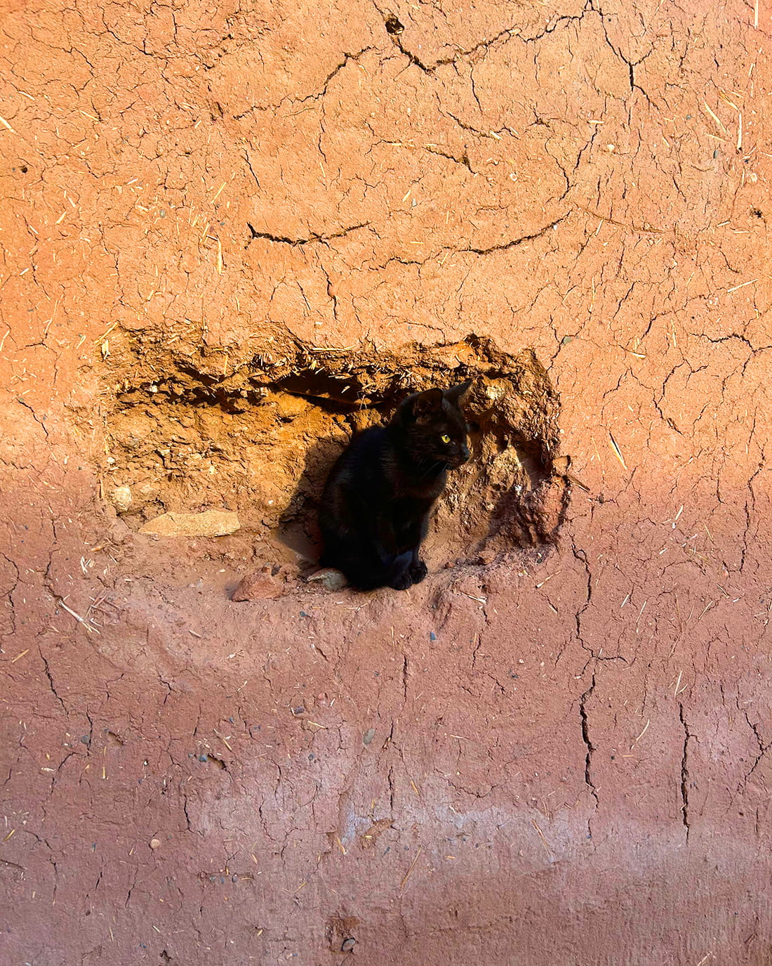 旅するスワッグ Morocco＜マラケシュの赤＞