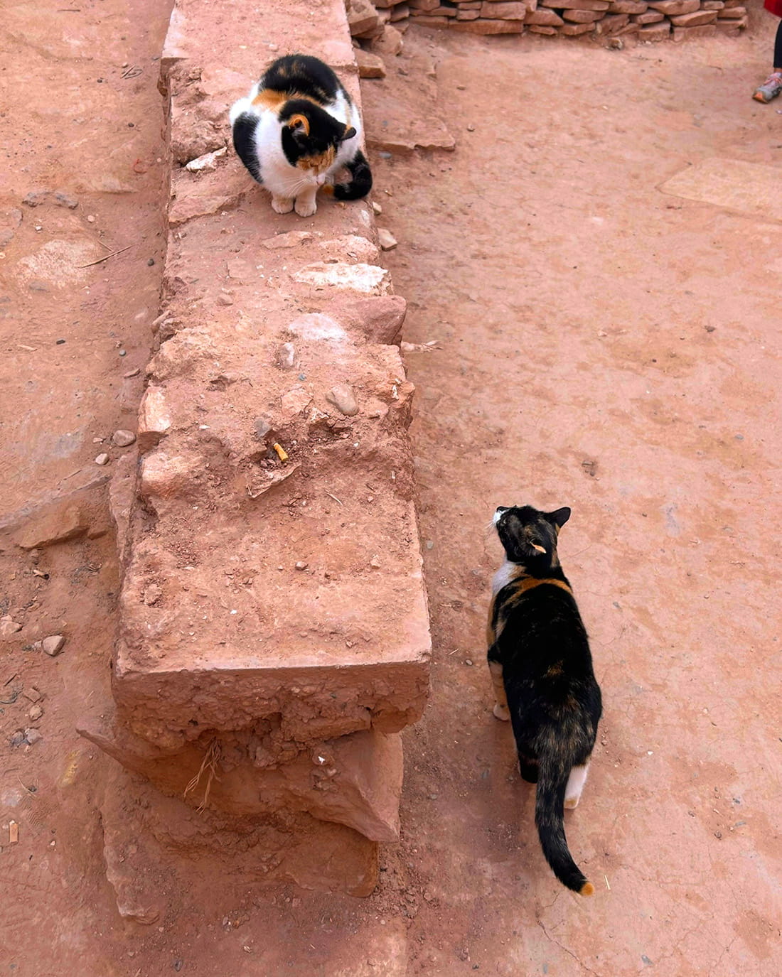 旅するスワッグ Morocco＜マラケシュの赤＞