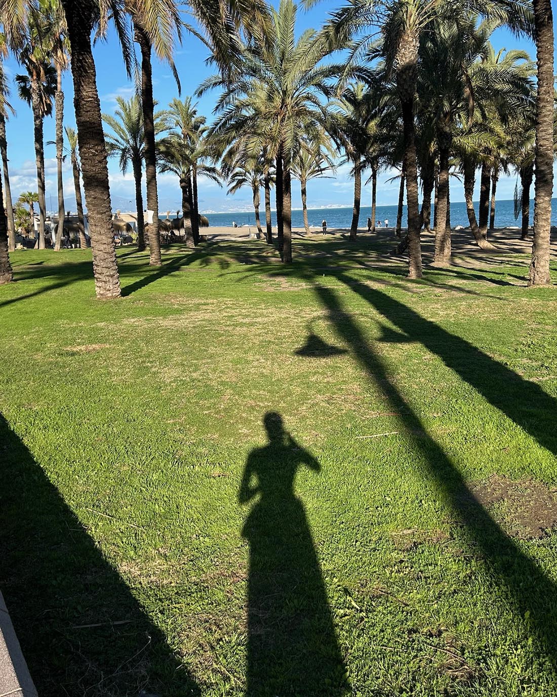 旅するスワッグ Spain＜コスタ・デル・ソルの太陽＞