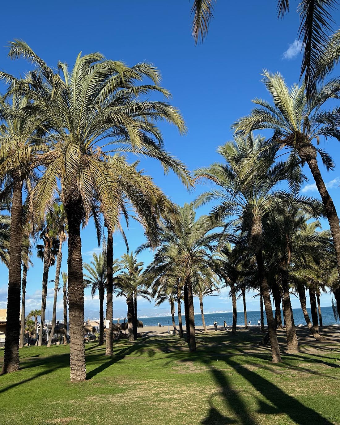 旅するスワッグ Spain＜コスタ・デル・ソルの太陽＞