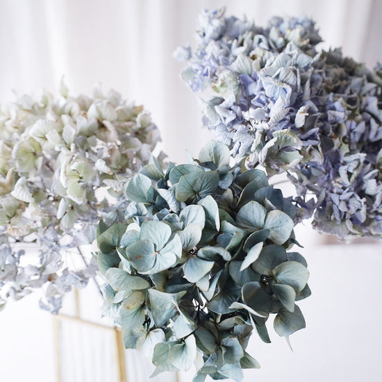 ［ドライフラワー］ヴィンテージブルーグリーンの紫陽花 ３本セット