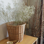 ［ドライフラワー］カスミソウ