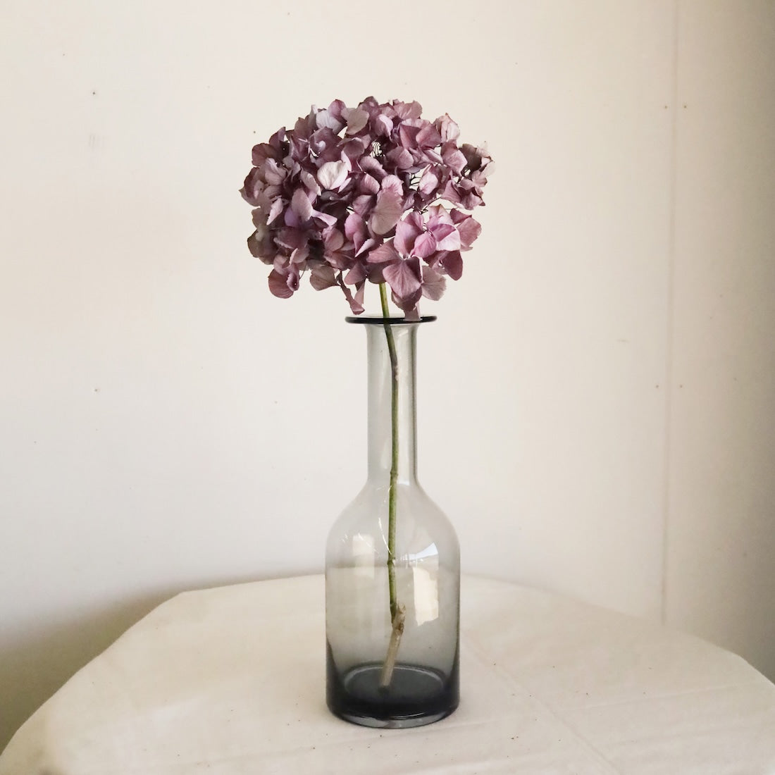 紫陽花ドライフラワー H1 大量 hana 北海道産 秋色紫陽花 美品 秋色紫陽花のドライフラワー販売中｜racsshandmade | racssblog