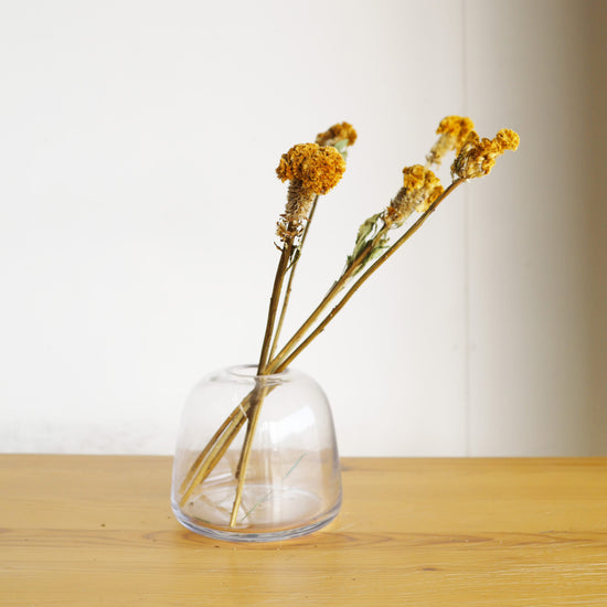 ［ふぞろいも愛おしいドライフラワー］ケイトウ