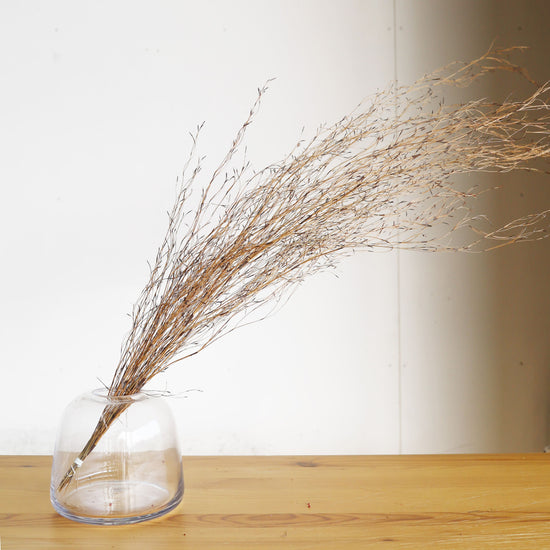 【ふぞろいも愛おしいお得なドライフラワー】エミューファン