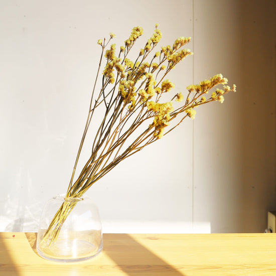 ［ふぞろいも愛おしいドライフラワー］スターチス シヌアータ