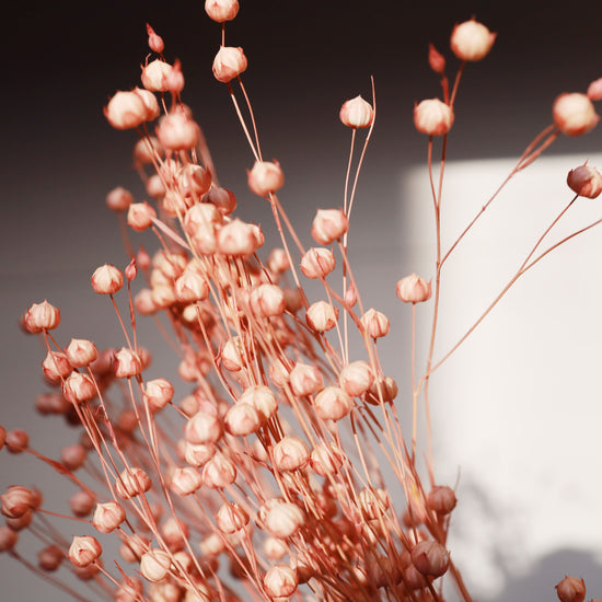 【ふぞろいも愛おしいお得なドライフラワー】リンフラワー