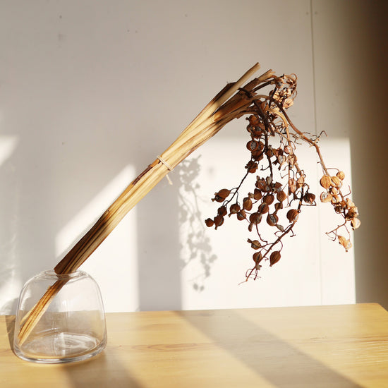 ［ふぞろいも愛おしいドライフラワー］ゲットウ