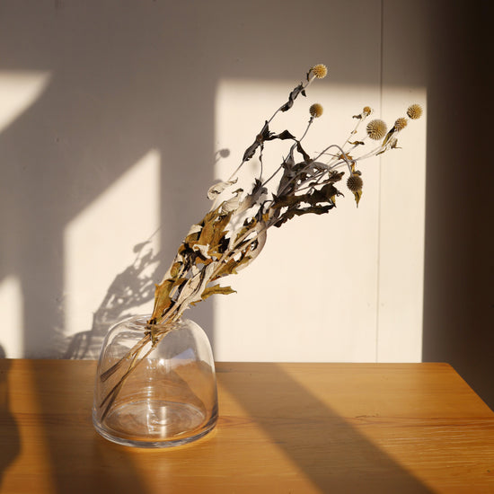 ［ふぞろいも愛おしいドライフラワー］ルリタマアザミ