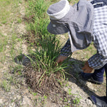 飾る、香る、味わう。無農薬のフレッシュハーブセット【出荷日指定・チルド配送】