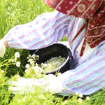 飾る、香る、味わう。無農薬のフレッシュハーブセット【出荷日指定・チルド配送】