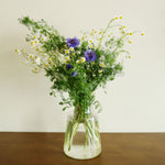 飾る、香る、味わう。無農薬のフレッシュハーブセット【出荷日指定・チルド配送】