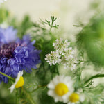 飾る、香る、味わう。無農薬のフレッシュハーブセット【出荷日指定・チルド配送】