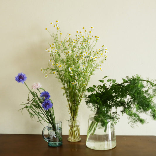 飾る、香る、味わう。無農薬のフレッシュハーブセット【出荷日指定・チルド配送】