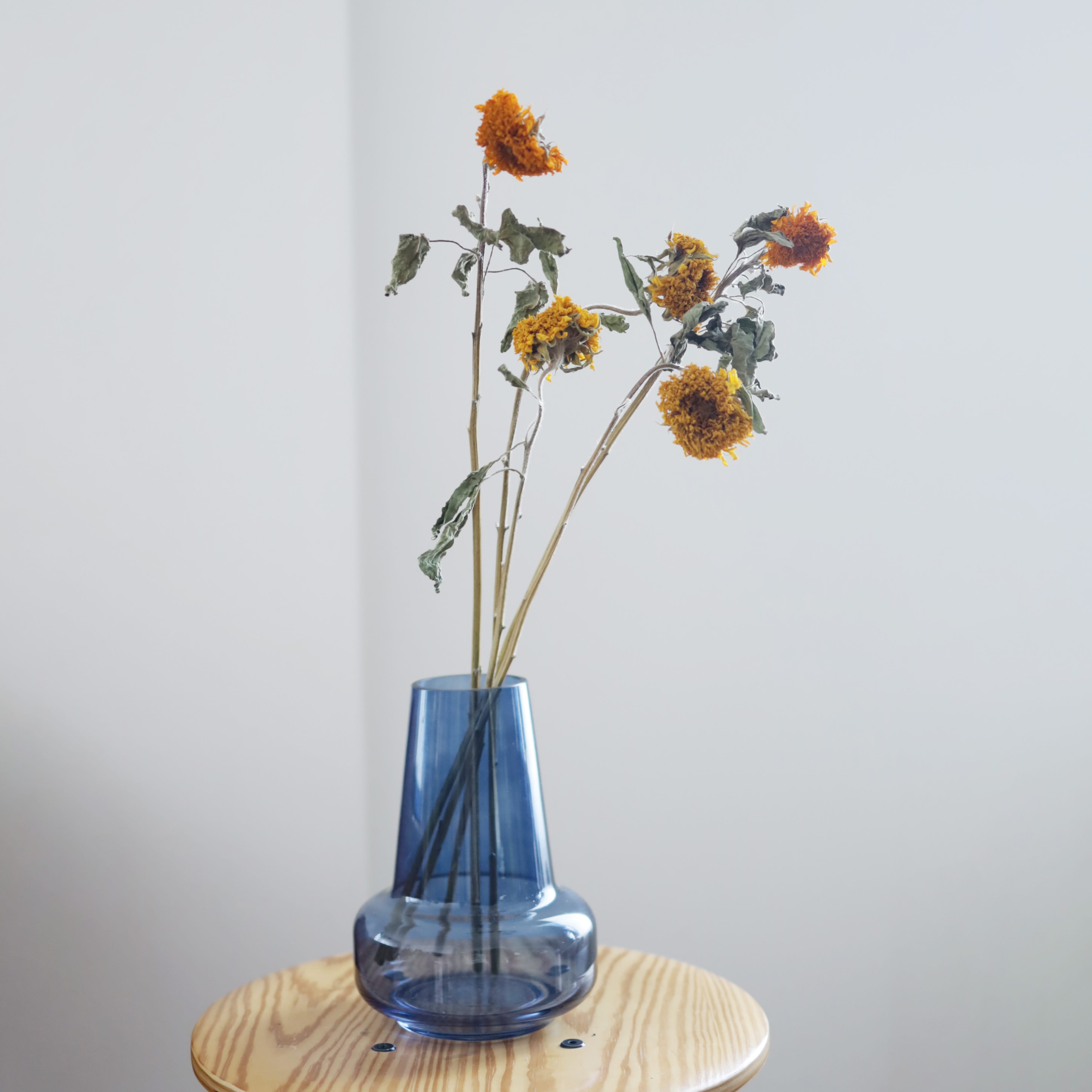 ドライフラワー 小さなひまわり 小さなひまわり ドライフラワー